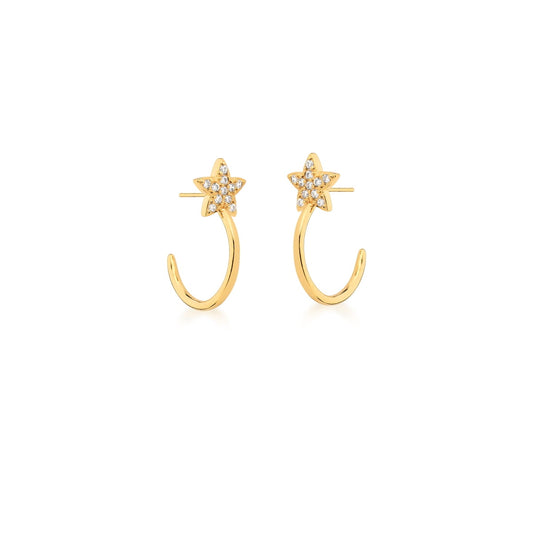 Earrings Luck Star